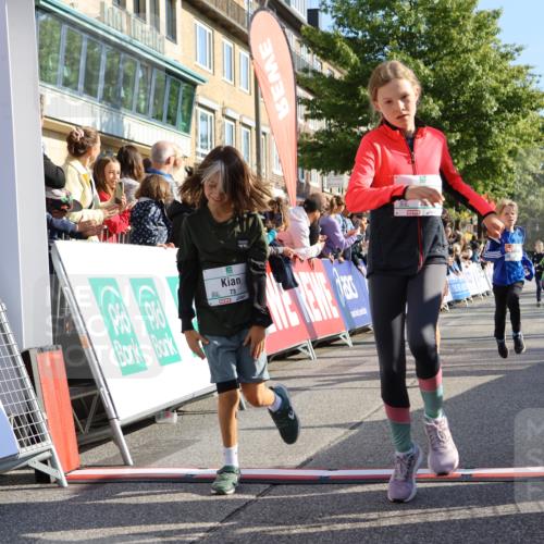 15.09.2024 - PSD Bank Halbmarathon Strokosch-Dieckow http://msf.ph/oto/7068878 15.09.2024 10:27:59 Ziel 27, 28, 37, 73, 101, 103, 108, 125, 128, 138, 159, 204, 249, 296 meine-sportfotos.de
