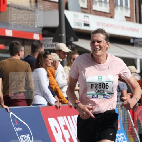 15.09.2024 - PSD Bank Halbmarathon Michael Strokosch http://msf.ph/oto/7069010 15.09.2024 12:06:45 Ziel 796, 797, 2032, 2208, 2806, 2819, 2942, 3019 meine-sportfotos.de