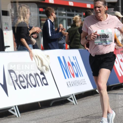 15.09.2024 - PSD Bank Halbmarathon Michael Strokosch http://msf.ph/oto/7069015 15.09.2024 12:06:46 Ziel 796, 797, 1328, 2032, 2208, 2806, 2819, 2942, 3019 meine-sportfotos.de