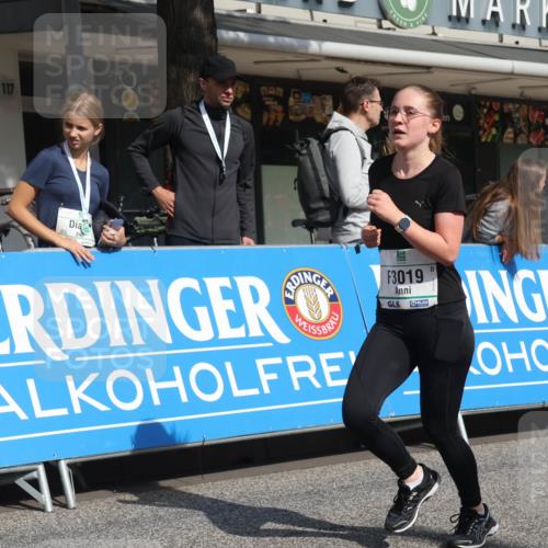 15.09.2024 - PSD Bank Halbmarathon Michael Strokosch http://msf.ph/oto/7069066 15.09.2024 12:06:53 Ziel 796, 797, 1328, 2806, 3019 meine-sportfotos.de