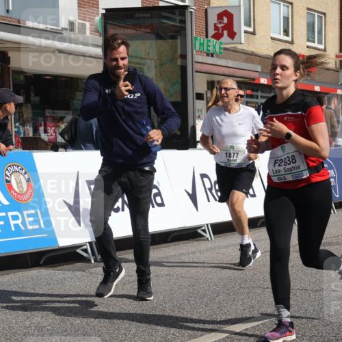 15.09.2024 - PSD Bank Halbmarathon Michael Strokosch http://msf.ph/oto/7069130 15.09.2024 12:07:08 Ziel 1331, 1877, 1933, 2919, 2938, 3180, 3181 meine-sportfotos.de