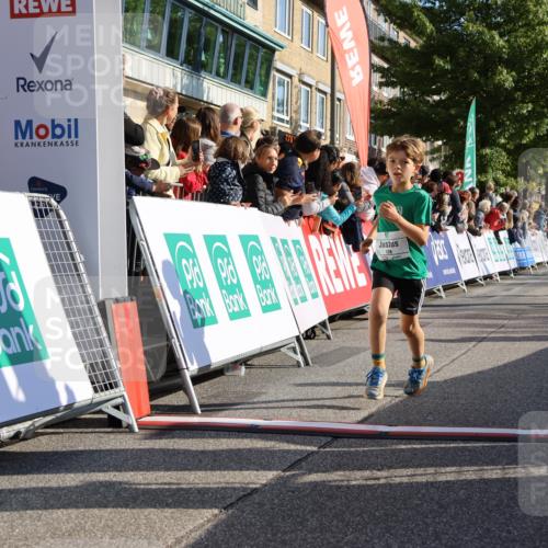 15.09.2024 - PSD Bank Halbmarathon Strokosch-Dieckow http://msf.ph/oto/7069147 15.09.2024 10:28:06 Ziel 27, 28, 37, 43, 73, 77, 101, 103, 108, 128, 138, 247, 249, 261, 296 meine-sportfotos.de