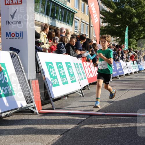 15.09.2024 - PSD Bank Halbmarathon Strokosch-Dieckow http://msf.ph/oto/7069174 15.09.2024 10:28:06 Ziel 27, 28, 37, 43, 73, 77, 101, 103, 108, 128, 138, 247, 249, 261, 296 meine-sportfotos.de