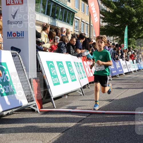 15.09.2024 - PSD Bank Halbmarathon Strokosch-Dieckow http://msf.ph/oto/7069204 15.09.2024 10:28:07 Ziel 27, 28, 37, 43, 73, 77, 101, 103, 108, 128, 138, 230, 247, 249, 261, 296 meine-sportfotos.de
