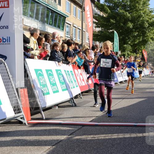 15.09.2024 - PSD Bank Halbmarathon Strokosch-Dieckow http://msf.ph/oto/7069294 15.09.2024 10:28:10 Ziel 14, 27, 28, 43, 73, 77, 108, 128, 138, 230, 247, 249, 261, 296 meine-sportfotos.de