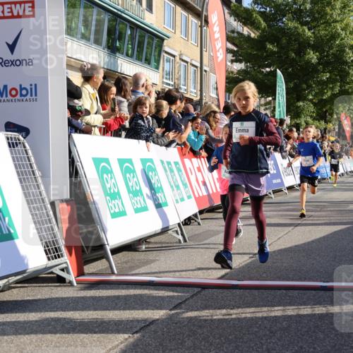 15.09.2024 - PSD Bank Halbmarathon Strokosch-Dieckow http://msf.ph/oto/7069348 15.09.2024 10:28:10 Ziel 14, 27, 28, 43, 73, 77, 108, 128, 138, 230, 247, 249, 261, 296 meine-sportfotos.de