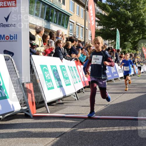 15.09.2024 - PSD Bank Halbmarathon Strokosch-Dieckow http://msf.ph/oto/7069417 15.09.2024 10:28:11 Ziel 14, 27, 43, 77, 94, 108, 128, 138, 230, 247, 249, 261, 262, 293, 296 meine-sportfotos.de