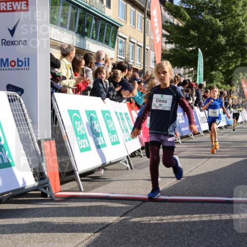 15.09.2024 - PSD Bank Halbmarathon Strokosch-Dieckow http://msf.ph/oto/7069443 15.09.2024 10:28:11 Ziel 14, 27, 43, 77, 94, 108, 128, 138, 230, 247, 249, 261, 262, 293, 296 meine-sportfotos.de