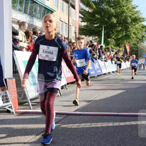 15.09.2024 - PSD Bank Halbmarathon Strokosch-Dieckow http://msf.ph/oto/7069473 15.09.2024 10:28:12 Ziel 14, 27, 43, 77, 94, 108, 128, 138, 230, 247, 261, 262, 293, 296 meine-sportfotos.de
