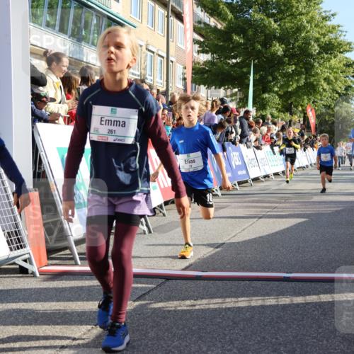 15.09.2024 - PSD Bank Halbmarathon Strokosch-Dieckow http://msf.ph/oto/7069504 15.09.2024 10:28:12 Ziel 14, 27, 43, 77, 94, 108, 128, 138, 230, 247, 261, 262, 293, 296 meine-sportfotos.de