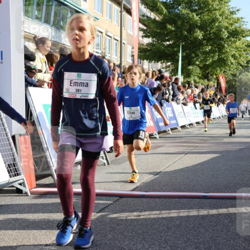 15.09.2024 - PSD Bank Halbmarathon Strokosch-Dieckow http://msf.ph/oto/7069541 15.09.2024 10:28:12 Ziel 14, 27, 43, 77, 94, 108, 128, 138, 230, 247, 261, 262, 293, 296 meine-sportfotos.de