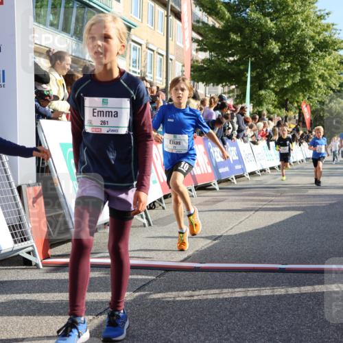 15.09.2024 - PSD Bank Halbmarathon Strokosch-Dieckow http://msf.ph/oto/7069576 15.09.2024 10:28:12 Ziel 14, 27, 43, 77, 94, 108, 128, 138, 230, 247, 261, 262, 293, 296 meine-sportfotos.de