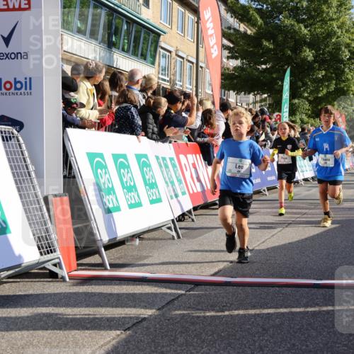15.09.2024 - PSD Bank Halbmarathon Strokosch-Dieckow http://msf.ph/oto/7069637 15.09.2024 10:28:15 Ziel 14, 43, 77, 94, 108, 128, 132, 138, 161, 208, 217, 230, 247, 261, 262, 293, 296 meine-sportfotos.de