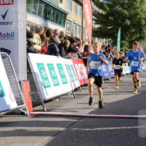 15.09.2024 - PSD Bank Halbmarathon Strokosch-Dieckow http://msf.ph/oto/7069662 15.09.2024 10:28:15 Ziel 14, 43, 77, 94, 108, 128, 132, 138, 161, 208, 217, 230, 247, 261, 262, 293, 296 meine-sportfotos.de