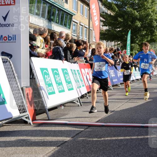 15.09.2024 - PSD Bank Halbmarathon Strokosch-Dieckow http://msf.ph/oto/7069685 15.09.2024 10:28:15 Ziel 14, 43, 77, 94, 108, 128, 132, 138, 161, 208, 217, 230, 247, 261, 262, 293, 296 meine-sportfotos.de