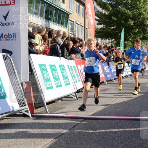 15.09.2024 - PSD Bank Halbmarathon Strokosch-Dieckow http://msf.ph/oto/7069712 15.09.2024 10:28:15 Ziel 14, 43, 77, 94, 108, 128, 132, 138, 161, 208, 217, 230, 247, 261, 262, 293, 296 meine-sportfotos.de
