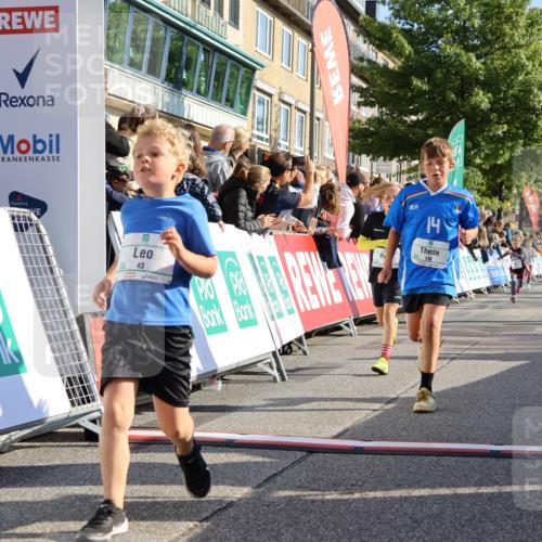15.09.2024 - PSD Bank Halbmarathon Strokosch-Dieckow http://msf.ph/oto/7069810 15.09.2024 10:28:16 Ziel 14, 43, 77, 84, 94, 108, 128, 132, 138, 161, 208, 217, 230, 247, 261, 262, 293 meine-sportfotos.de