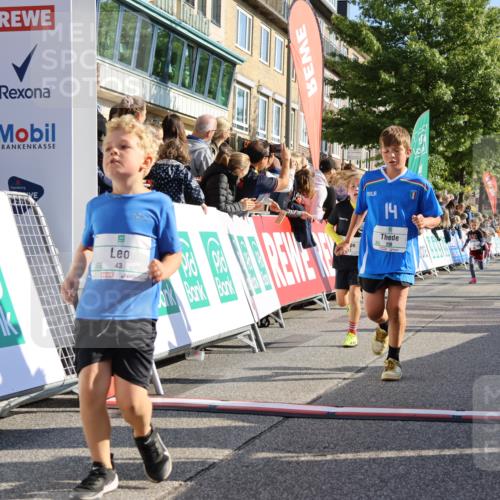 15.09.2024 - PSD Bank Halbmarathon Strokosch-Dieckow http://msf.ph/oto/7069835 15.09.2024 10:28:16 Ziel 14, 43, 77, 84, 94, 108, 128, 132, 138, 161, 208, 217, 230, 247, 261, 262, 293 meine-sportfotos.de
