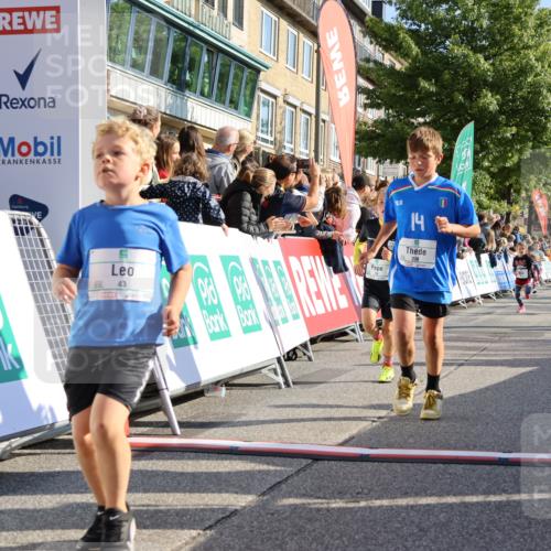 15.09.2024 - PSD Bank Halbmarathon Strokosch-Dieckow http://msf.ph/oto/7069859 15.09.2024 10:28:16 Ziel 14, 43, 77, 84, 94, 108, 128, 132, 138, 161, 208, 217, 230, 247, 261, 262, 293 meine-sportfotos.de