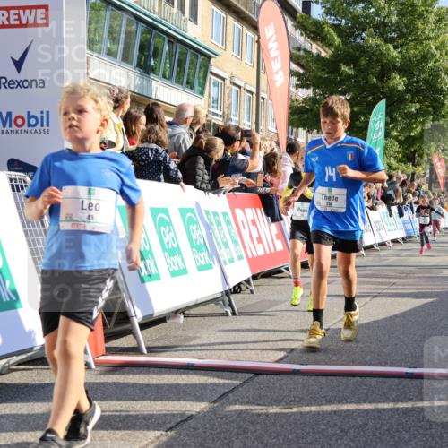 15.09.2024 - PSD Bank Halbmarathon Strokosch-Dieckow http://msf.ph/oto/7069887 15.09.2024 10:28:16 Ziel 14, 43, 77, 84, 94, 108, 128, 132, 138, 161, 208, 217, 230, 247, 261, 262, 293 meine-sportfotos.de