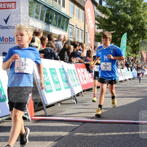 15.09.2024 - PSD Bank Halbmarathon Strokosch-Dieckow http://msf.ph/oto/7069915 15.09.2024 10:28:16 Ziel 14, 43, 77, 84, 94, 108, 128, 132, 138, 161, 208, 217, 230, 247, 261, 262, 293 meine-sportfotos.de