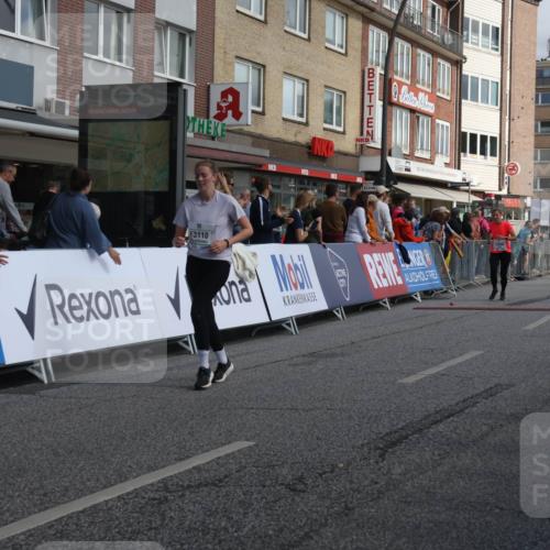 15.09.2024 - PSD Bank Halbmarathon Michael Strokosch http://msf.ph/oto/7069923 15.09.2024 12:08:11 Ziel 1159, 1633, 1869, 1917, 2397, 2642, 2668, 2781, 3110, 3145, 3496 meine-sportfotos.de