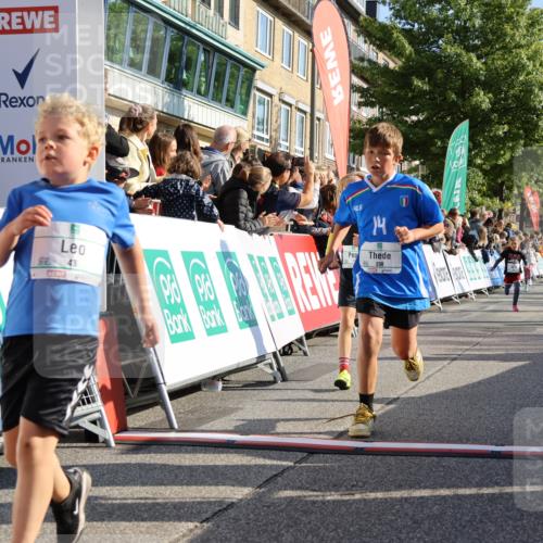 15.09.2024 - PSD Bank Halbmarathon Strokosch-Dieckow http://msf.ph/oto/7069948 15.09.2024 10:28:16 Ziel 14, 43, 77, 84, 94, 108, 128, 132, 138, 161, 208, 217, 230, 247, 261, 262, 293 meine-sportfotos.de
