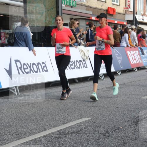 15.09.2024 - PSD Bank Halbmarathon Michael Strokosch http://msf.ph/oto/7069955 15.09.2024 12:08:16 Ziel 1869, 1917, 2281, 2397, 2642, 2668, 3049, 3110, 3360, 3496 meine-sportfotos.de