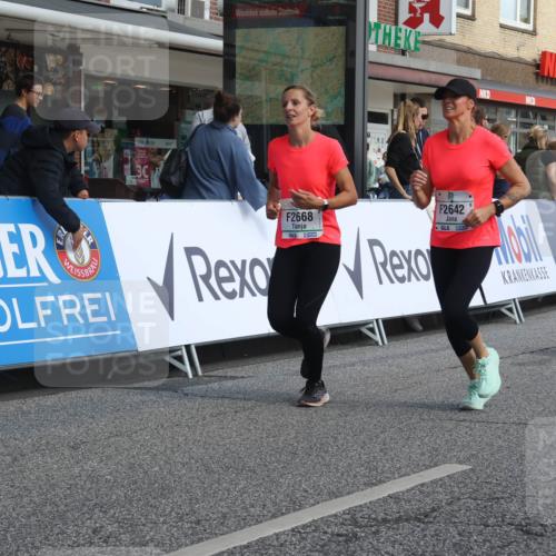 15.09.2024 - PSD Bank Halbmarathon Michael Strokosch http://msf.ph/oto/7069959 15.09.2024 12:08:16 Ziel 1869, 1917, 2281, 2397, 2642, 2668, 3049, 3110, 3360, 3496 meine-sportfotos.de