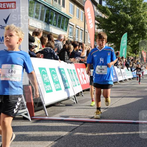 15.09.2024 - PSD Bank Halbmarathon Strokosch-Dieckow http://msf.ph/oto/7069980 15.09.2024 10:28:16 Ziel 14, 43, 77, 84, 94, 108, 128, 132, 138, 161, 208, 217, 230, 247, 261, 262, 293 meine-sportfotos.de
