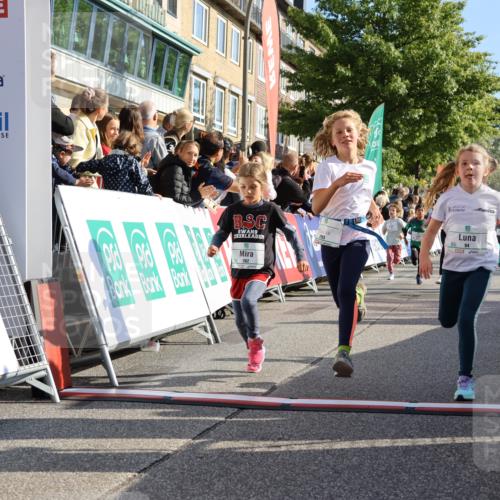 15.09.2024 - PSD Bank Halbmarathon Strokosch-Dieckow http://msf.ph/oto/7070010 15.09.2024 10:28:19 Ziel 14, 43, 77, 84, 94, 132, 135, 161, 208, 217, 230, 247, 258, 261, 262, 293 meine-sportfotos.de