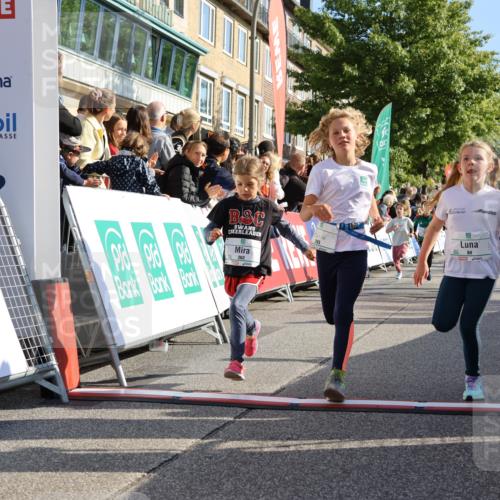 15.09.2024 - PSD Bank Halbmarathon Strokosch-Dieckow http://msf.ph/oto/7070046 15.09.2024 10:28:19 Ziel 14, 43, 77, 84, 94, 132, 135, 161, 208, 217, 230, 247, 258, 261, 262, 293 meine-sportfotos.de