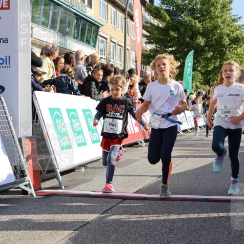 15.09.2024 - PSD Bank Halbmarathon Strokosch-Dieckow http://msf.ph/oto/7070073 15.09.2024 10:28:19 Ziel 14, 43, 77, 84, 94, 132, 135, 161, 208, 217, 230, 247, 258, 261, 262, 293 meine-sportfotos.de