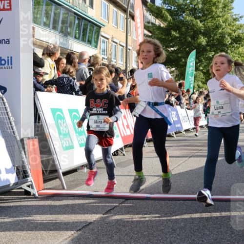 15.09.2024 - PSD Bank Halbmarathon Strokosch-Dieckow http://msf.ph/oto/7070129 15.09.2024 10:28:19 Ziel 14, 43, 77, 84, 94, 132, 135, 161, 208, 217, 230, 247, 258, 261, 262, 293 meine-sportfotos.de