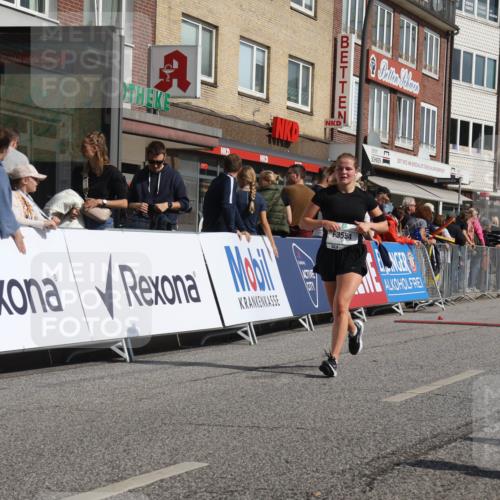 15.09.2024 - PSD Bank Halbmarathon Michael Strokosch http://msf.ph/oto/7070169 15.09.2024 12:08:34 Ziel 791, 2003, 2011, 2088, 2401, 3554, 3559 meine-sportfotos.de