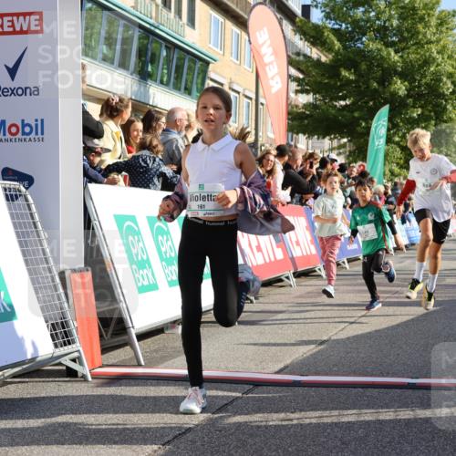 15.09.2024 - PSD Bank Halbmarathon Strokosch-Dieckow http://msf.ph/oto/7070210 15.09.2024 10:28:21 Ziel 14, 43, 77, 84, 94, 132, 135, 161, 166, 208, 217, 230, 247, 258, 261, 262, 293 meine-sportfotos.de