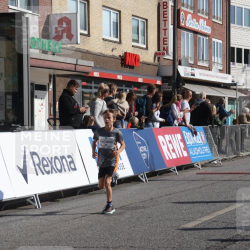 15.09.2024 - PSD Bank Halbmarathon Michael Strokosch http://msf.ph/oto/7070212 15.09.2024 10:26:11 Ziel 9, 20, 86, 88, 144, 181, 240, 242, 295 meine-sportfotos.de