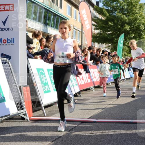 15.09.2024 - PSD Bank Halbmarathon Strokosch-Dieckow http://msf.ph/oto/7070236 15.09.2024 10:28:21 Ziel 14, 43, 77, 84, 94, 132, 135, 161, 166, 208, 217, 230, 247, 258, 261, 262, 293 meine-sportfotos.de
