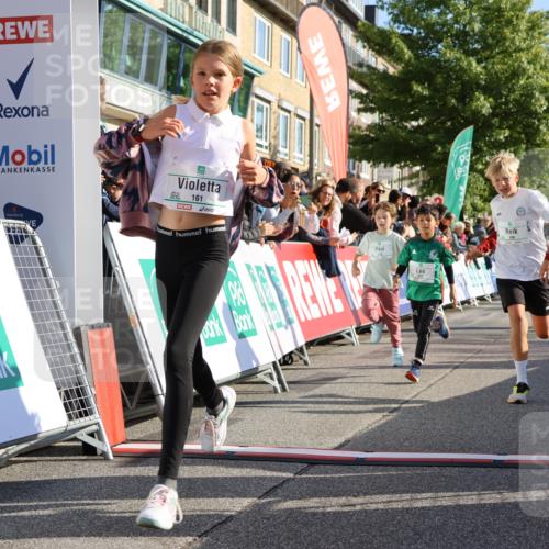 15.09.2024 - PSD Bank Halbmarathon Strokosch-Dieckow http://msf.ph/oto/7070298 15.09.2024 10:28:22 Ziel 14, 43, 77, 84, 94, 132, 135, 161, 166, 208, 217, 230, 247, 258, 261, 262, 293 meine-sportfotos.de