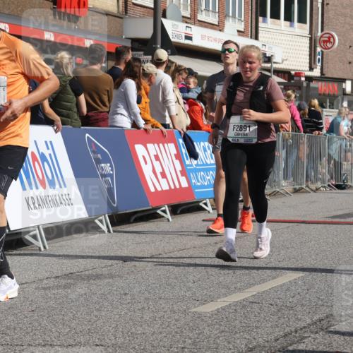 15.09.2024 - PSD Bank Halbmarathon Michael Strokosch http://msf.ph/oto/7070311 15.09.2024 12:08:45 Ziel 1664, 1699, 1786, 2088, 2240, 2621, 2891, 2908, 3200, 3554, 3559 meine-sportfotos.de
