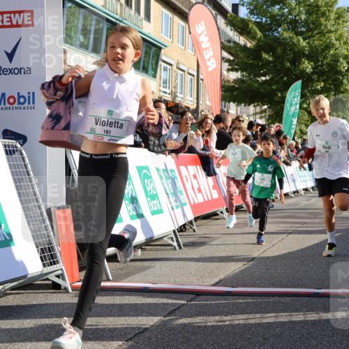 15.09.2024 - PSD Bank Halbmarathon Strokosch-Dieckow http://msf.ph/oto/7070328 15.09.2024 10:28:22 Ziel 14, 43, 77, 84, 94, 132, 135, 161, 166, 208, 217, 230, 247, 258, 261, 262, 293 meine-sportfotos.de