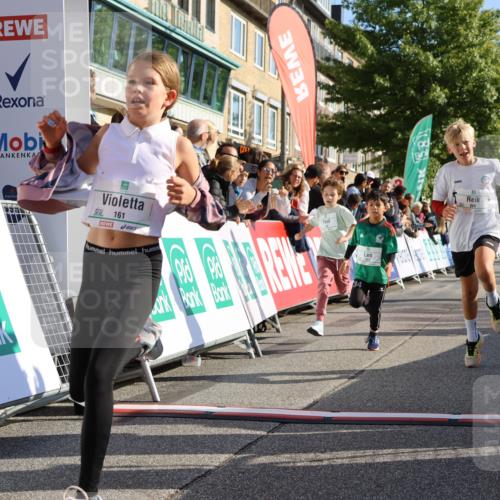 15.09.2024 - PSD Bank Halbmarathon Strokosch-Dieckow http://msf.ph/oto/7070357 15.09.2024 10:28:22 Ziel 14, 43, 77, 84, 94, 132, 135, 161, 166, 208, 217, 230, 247, 258, 261, 262, 293 meine-sportfotos.de