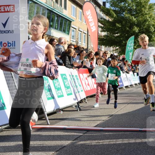 15.09.2024 - PSD Bank Halbmarathon Strokosch-Dieckow http://msf.ph/oto/7070386 15.09.2024 10:28:22 Ziel 14, 43, 77, 84, 94, 132, 135, 161, 166, 208, 217, 230, 247, 258, 261, 262, 293 meine-sportfotos.de
