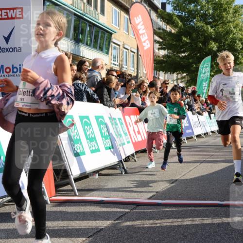 15.09.2024 - PSD Bank Halbmarathon Strokosch-Dieckow http://msf.ph/oto/7070417 15.09.2024 10:28:22 Ziel 14, 43, 77, 84, 94, 132, 135, 161, 166, 208, 217, 230, 247, 258, 261, 262, 293 meine-sportfotos.de