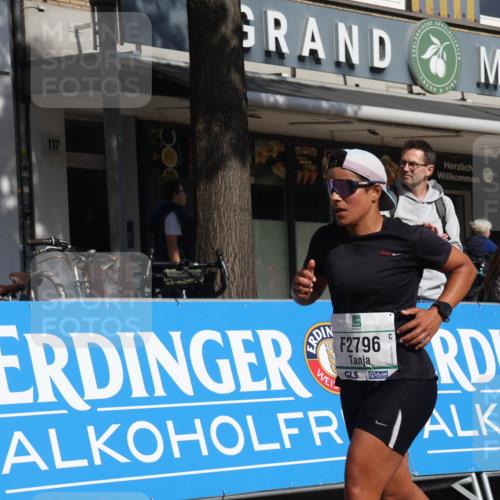 15.09.2024 - PSD Bank Halbmarathon Michael Strokosch http://msf.ph/oto/7070467 15.09.2024 12:08:57 Ziel 1446, 1664, 1699, 1912, 1949, 2165, 2214, 2240, 2621, 2796, 2891, 2908, 3060, 3200 meine-sportfotos.de