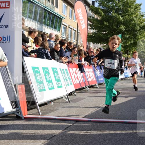 15.09.2024 - PSD Bank Halbmarathon Strokosch-Dieckow http://msf.ph/oto/7070472 15.09.2024 10:28:24 Ziel 14, 43, 77, 84, 94, 132, 135, 161, 166, 208, 217, 230, 258, 262, 293 meine-sportfotos.de