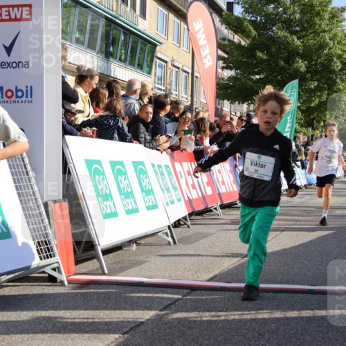 15.09.2024 - PSD Bank Halbmarathon Strokosch-Dieckow http://msf.ph/oto/7070528 15.09.2024 10:28:25 Ziel 14, 43, 84, 94, 132, 135, 149, 161, 166, 208, 217, 230, 258, 262, 293 meine-sportfotos.de