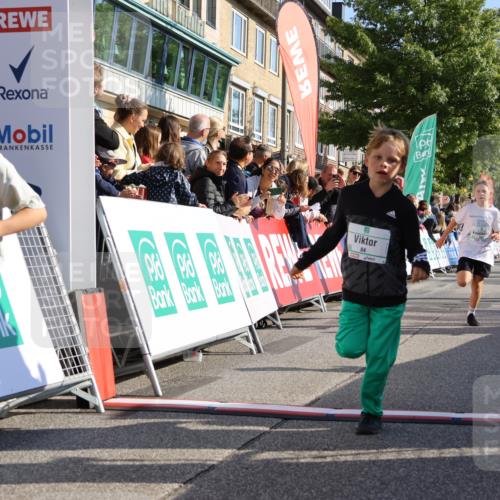15.09.2024 - PSD Bank Halbmarathon Strokosch-Dieckow http://msf.ph/oto/7070553 15.09.2024 10:28:25 Ziel 14, 43, 84, 94, 132, 135, 149, 161, 166, 208, 217, 230, 258, 262, 293 meine-sportfotos.de