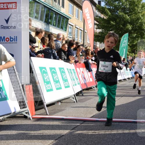 15.09.2024 - PSD Bank Halbmarathon Strokosch-Dieckow http://msf.ph/oto/7070578 15.09.2024 10:28:25 Ziel 14, 43, 84, 94, 132, 135, 149, 161, 166, 208, 217, 230, 258, 262, 293 meine-sportfotos.de