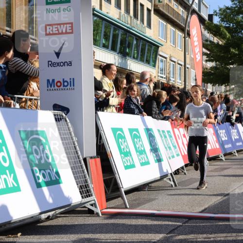 15.09.2024 - PSD Bank Halbmarathon Strokosch-Dieckow http://msf.ph/oto/7070722 15.09.2024 10:28:29 Ziel 84, 89, 94, 132, 135, 149, 161, 166, 208, 217, 258, 262, 285, 293 meine-sportfotos.de